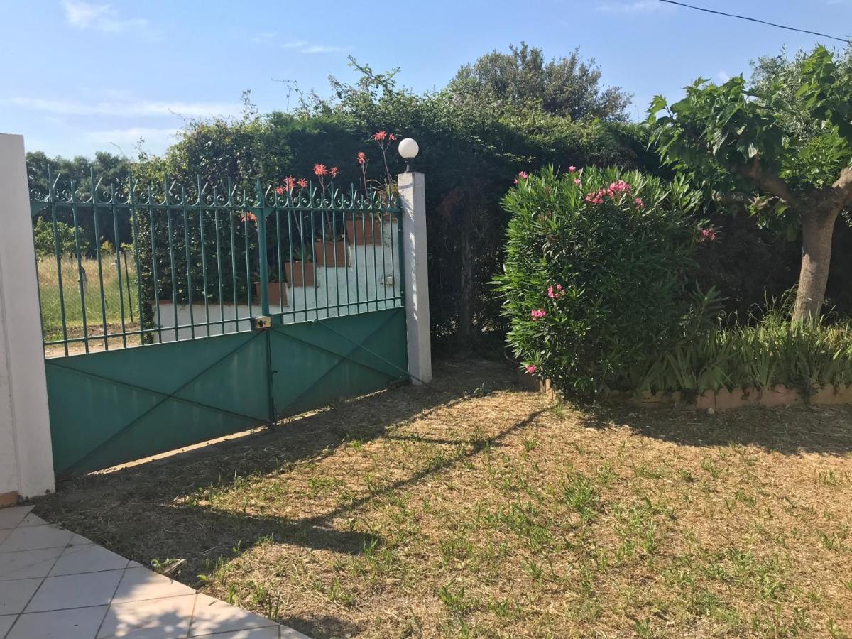 Villa Mas De La Vieille Vigne Argelès-sur-Mer Exterior foto